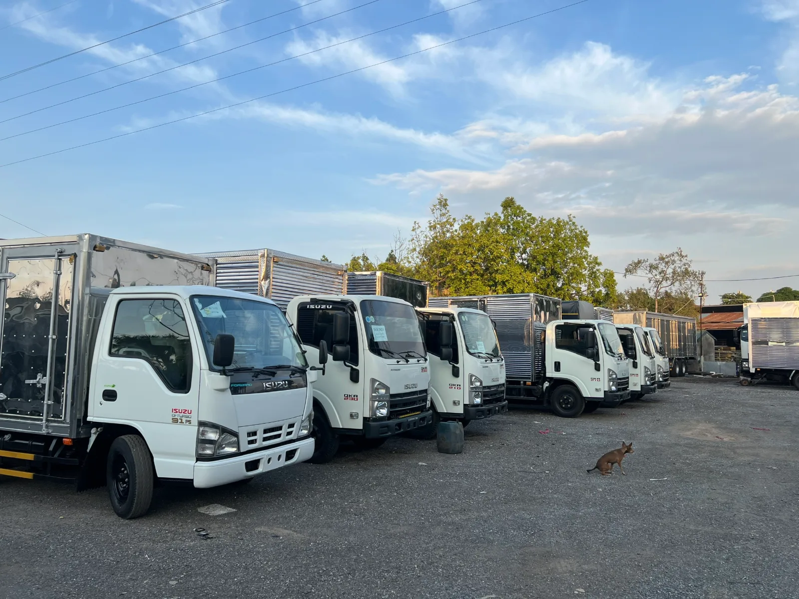 Chuyện Nghề 20 Năm Thắng Cảnh Auto: Giữ Trọn Chữ Tín Giữa Thị Trường Xe Tải Cũ