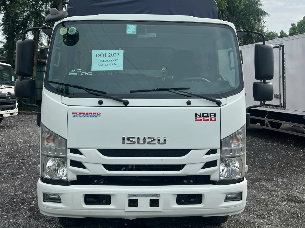 Isuzu NQR 550 mui bạt đời 2022 - ảnh 2