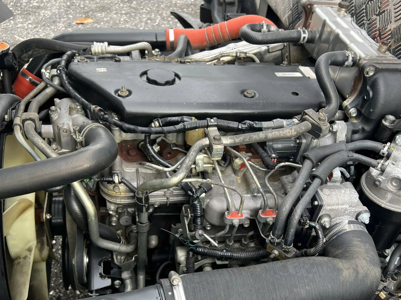 Isuzu NQR 550 mui bạt đời 2022 - ảnh 15